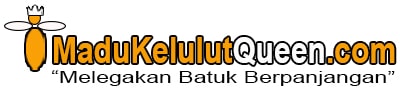 MaduKelulutQueen.com  "Stok Madu Kelulut Asli Anda"